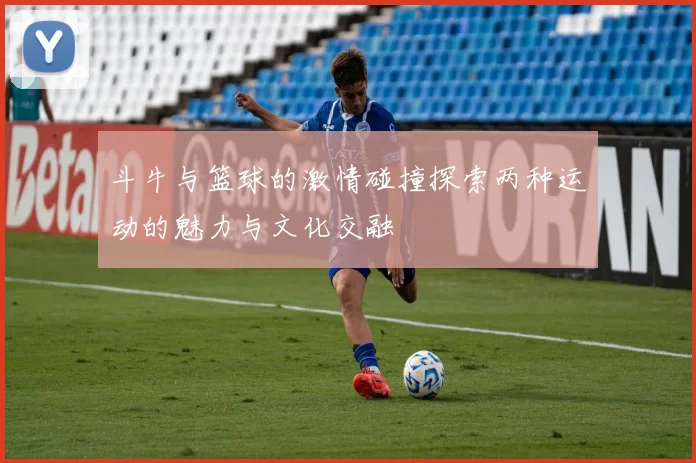 斗牛与篮球的激情碰撞探索两种运动的魅力与文化交融