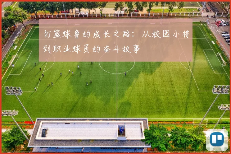 打篮球鲁的成长之路：从校园小将到职业球员的奋斗故事
